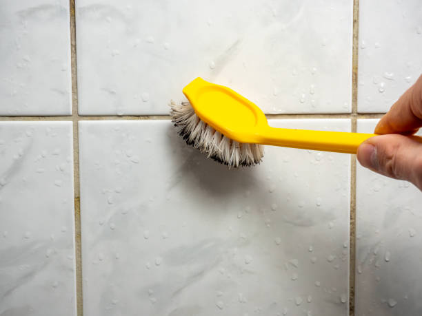 Best Mold Remediation  in North Fort Myers, FL